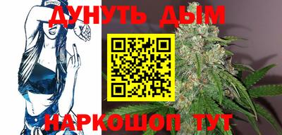 стафф Дубна
