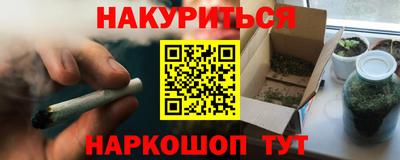 стафф Дубна