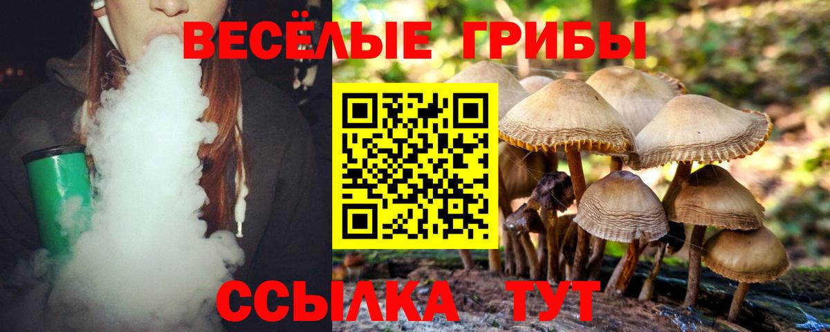 Кунгур  Галлюциногенные грибы GOLDEN TEACHER  Псилоцибиновые грибы мицелий  Вход с VPN 